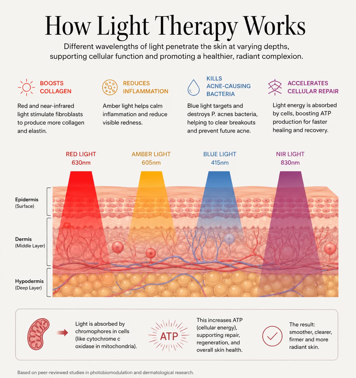 An infographic titled 'How Light Therapy Works' with a skin cross-section diagram and colored light bands labeled red, amber, blue, and NIR light, plus text describing benefits such as boosting collagen, reducing inflammation, and accelerating cellular repair.